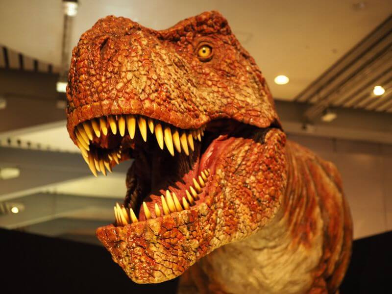 ティラノサウルス展のロボット展示